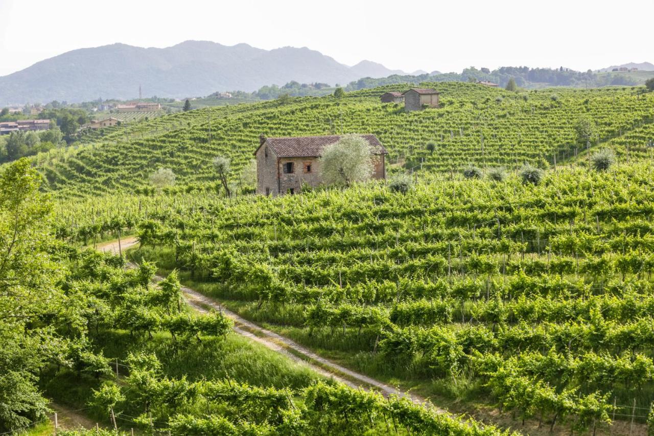 Agriturismo Il Follo 瓦尔多比亚德内 外观 照片