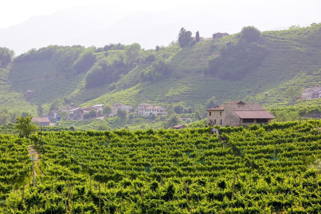 Agriturismo Il Follo 瓦尔多比亚德内 外观 照片